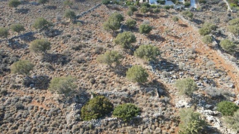 Kokkino Chorio Kreta, Kokkino Chorio: Grundstück in fantastischer Lage zum Verkauf in Kokkino Chorio mit Baugenehmigung Grundstück kaufen